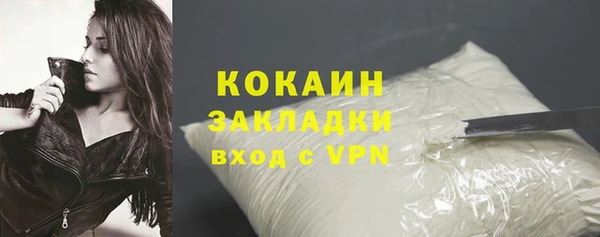 шишки Сосновый Бор