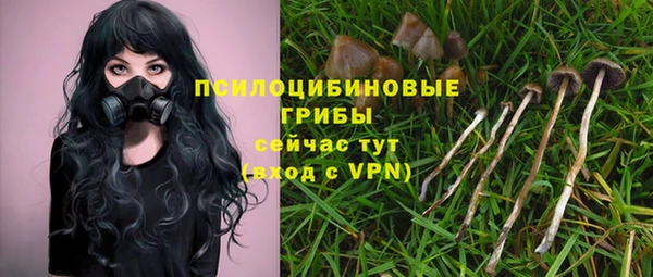 бутик Бородино
